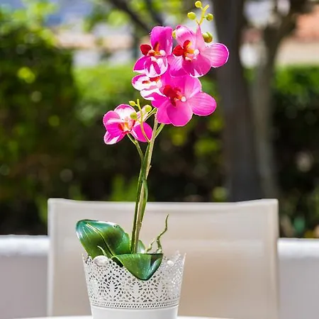 Pino 홀리데이파크