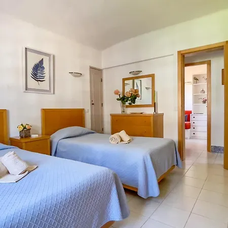 Pino 3*