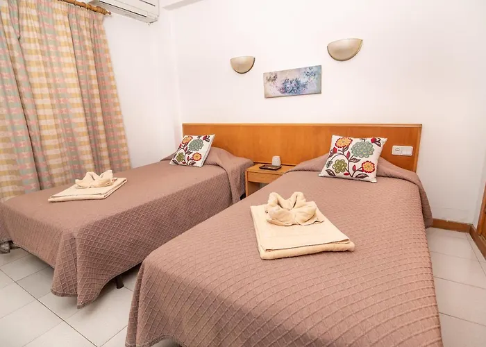 Pino Parque de vacaciones